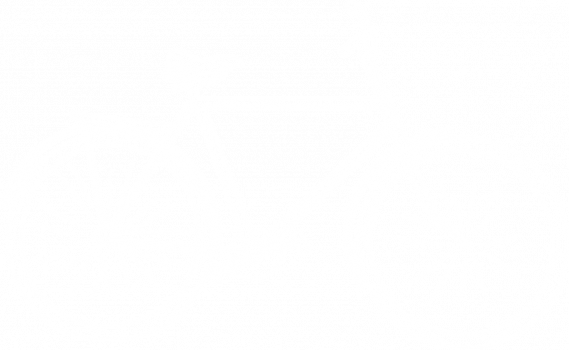 Bicycle Bicycle